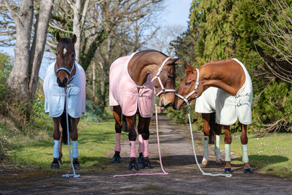 NEW SS26 Rhinegold Sorbet Fleece Rugs
