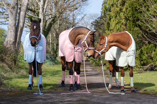 NEW SS26 Rhinegold Sorbet Fleece Rugs