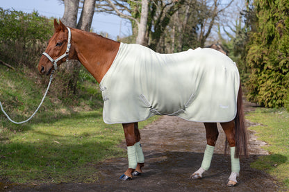 NEW SS26 Rhinegold Sorbet Fleece Rugs