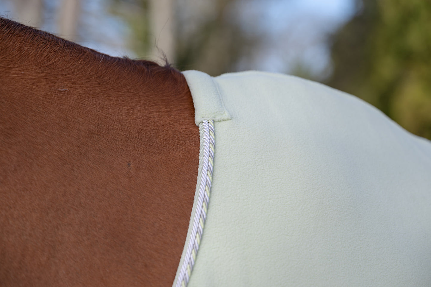 NEW SS26 Rhinegold Sorbet Fleece Rugs