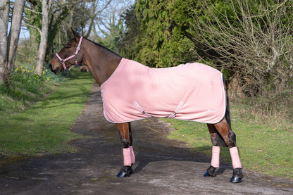 NEW SS26 Rhinegold Sorbet Fleece Rugs