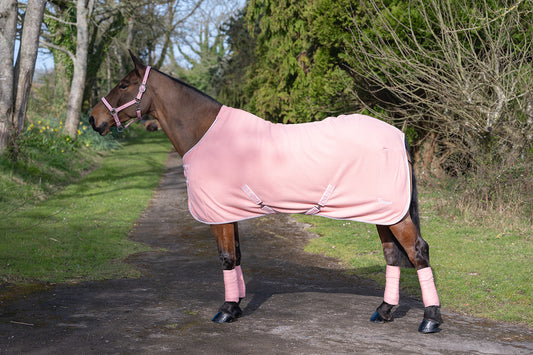 NEW SS26 Rhinegold Sorbet Fleece Rugs