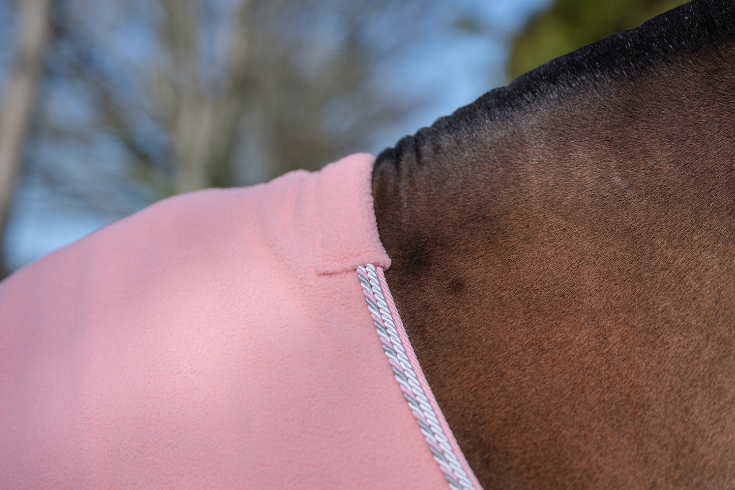 NEW SS26 Rhinegold Sorbet Fleece Rugs