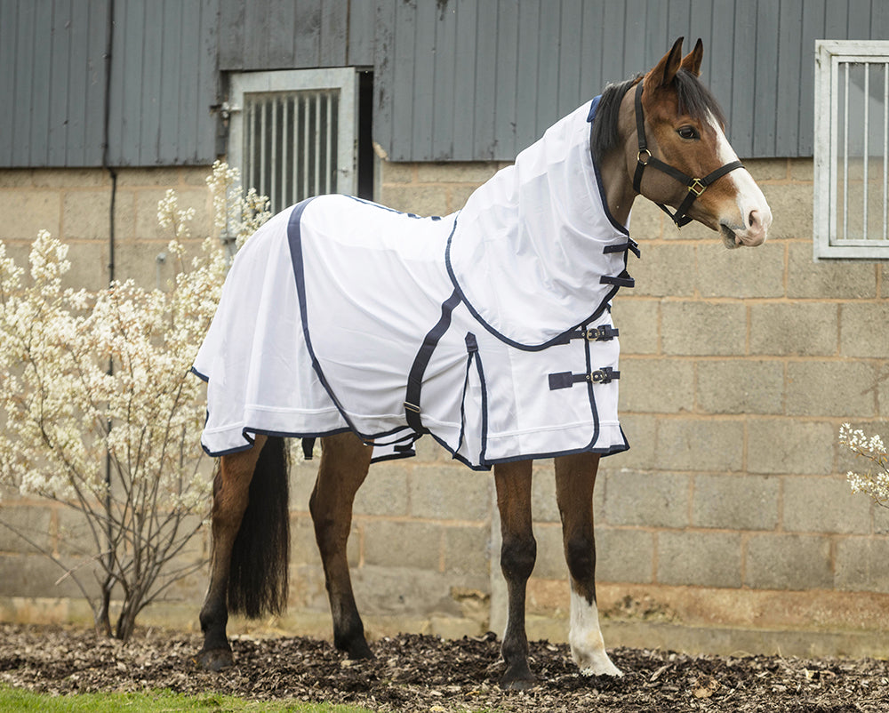 Rhinegold Essentials Fly Rug supplied with Neck Cover