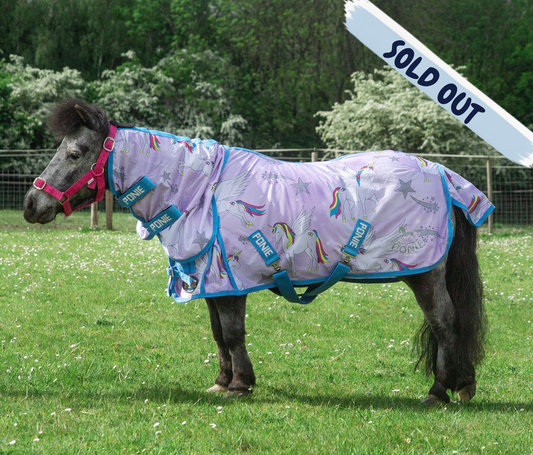 PONIE Pegacorn Fly
