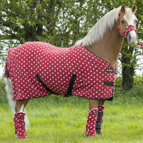Supreme Products Dotty Fleece Rug