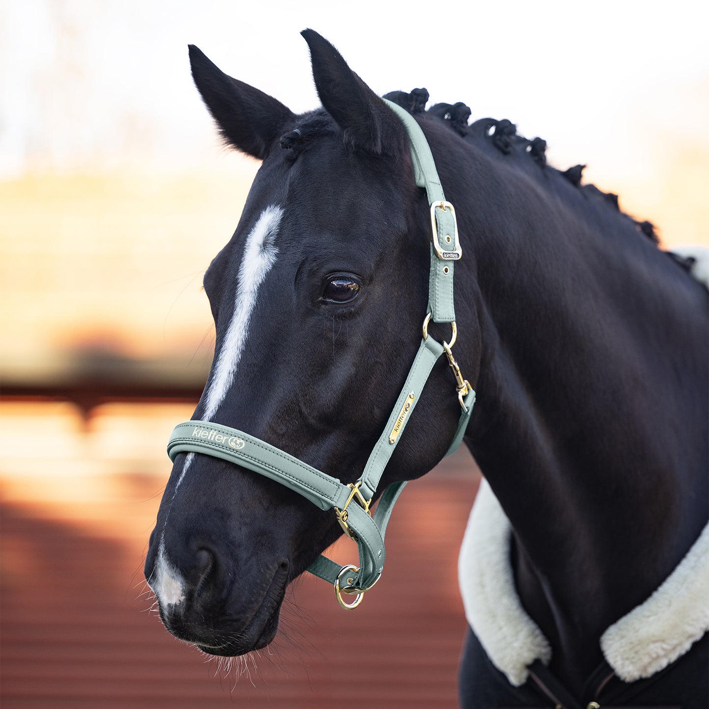Kieffer Satin Shine Head Collar