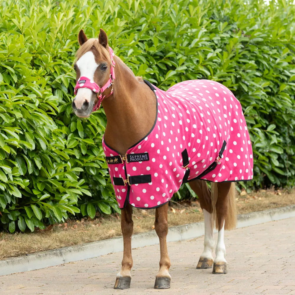 Dotty - Paradise Pink 