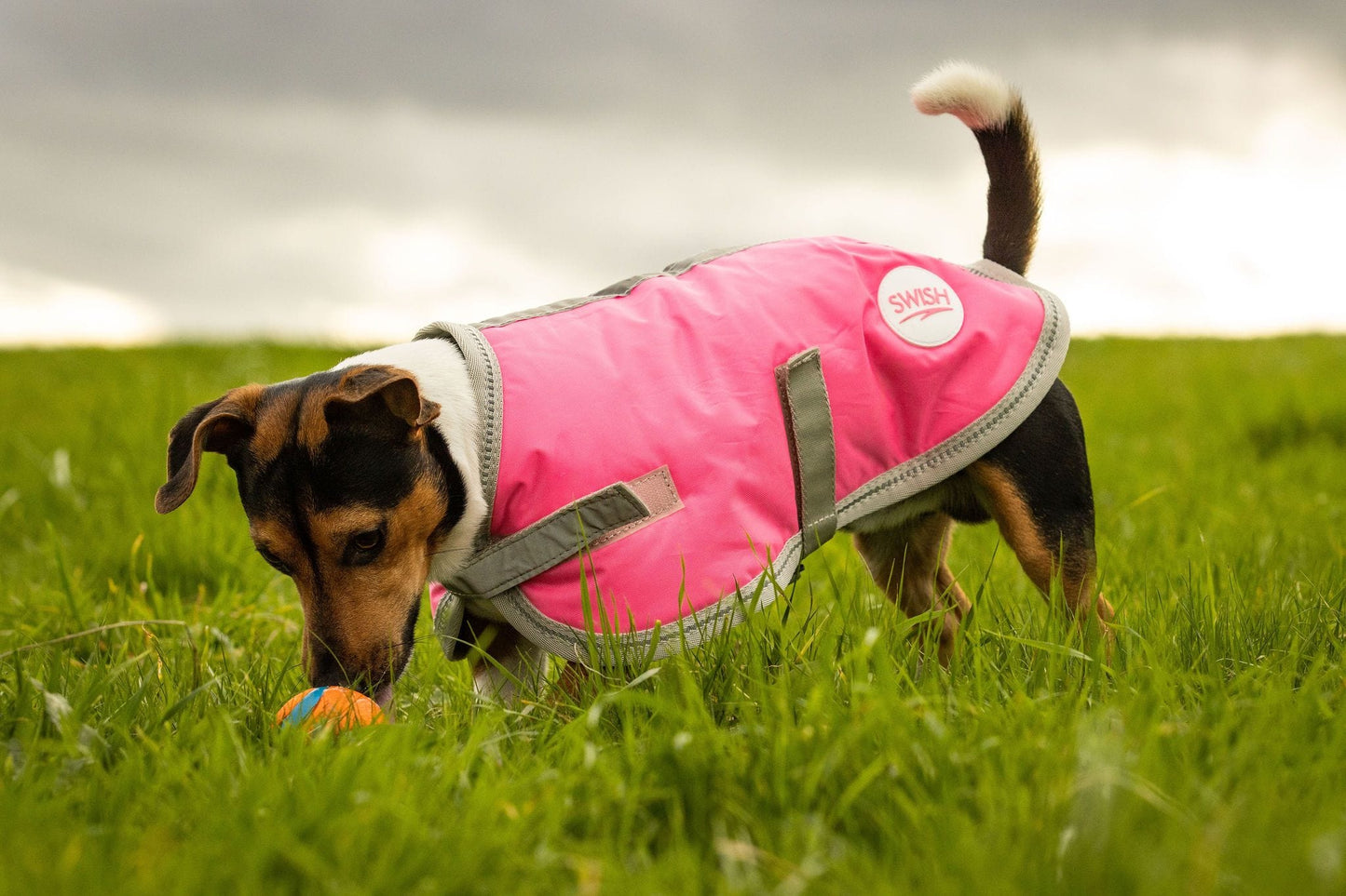Swish Waterproof Dog Coat - High Viz Pink