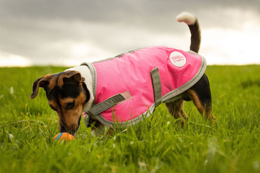 Swish Waterproof Dog Coat - High Viz Pink