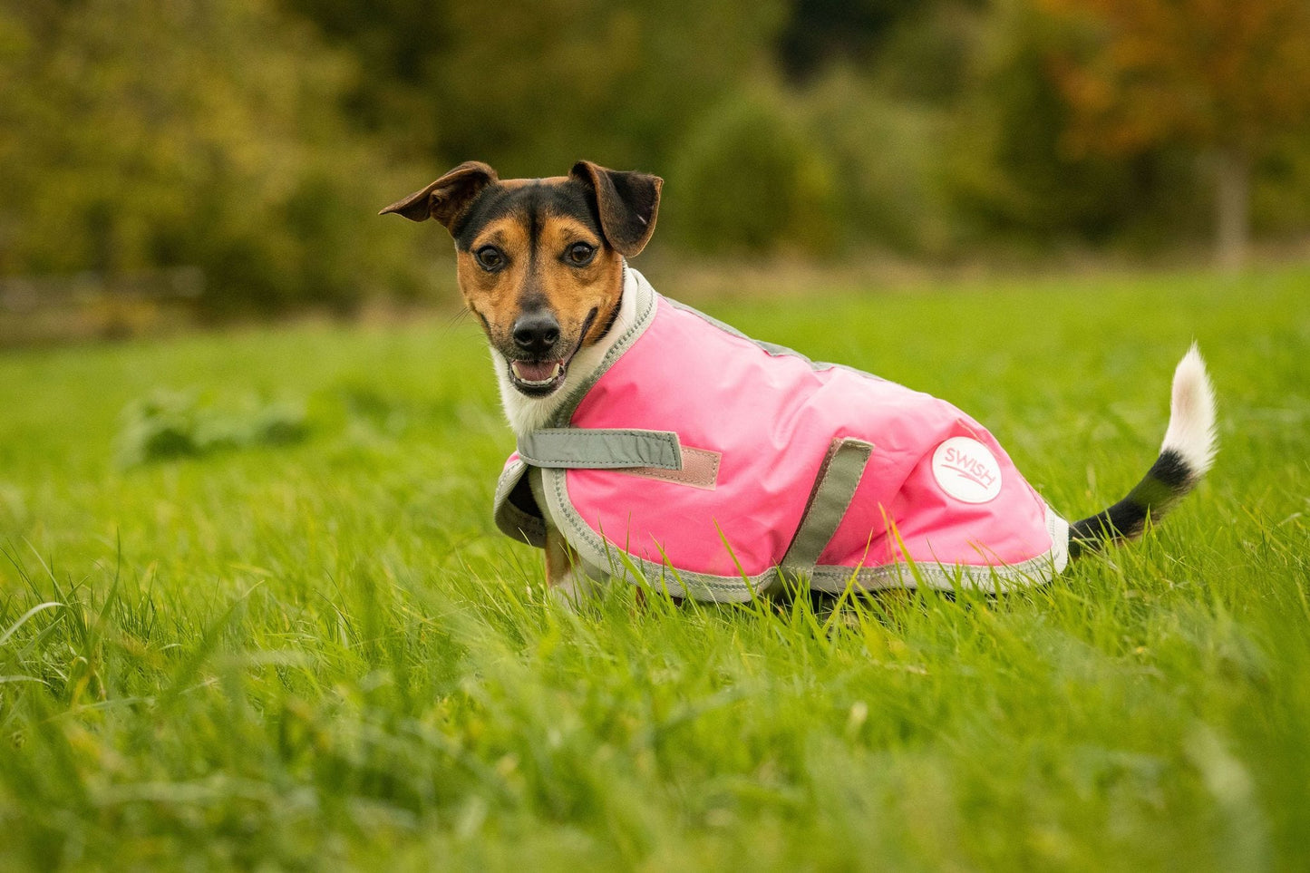Swish Waterproof Dog Coat - High Viz Pink
