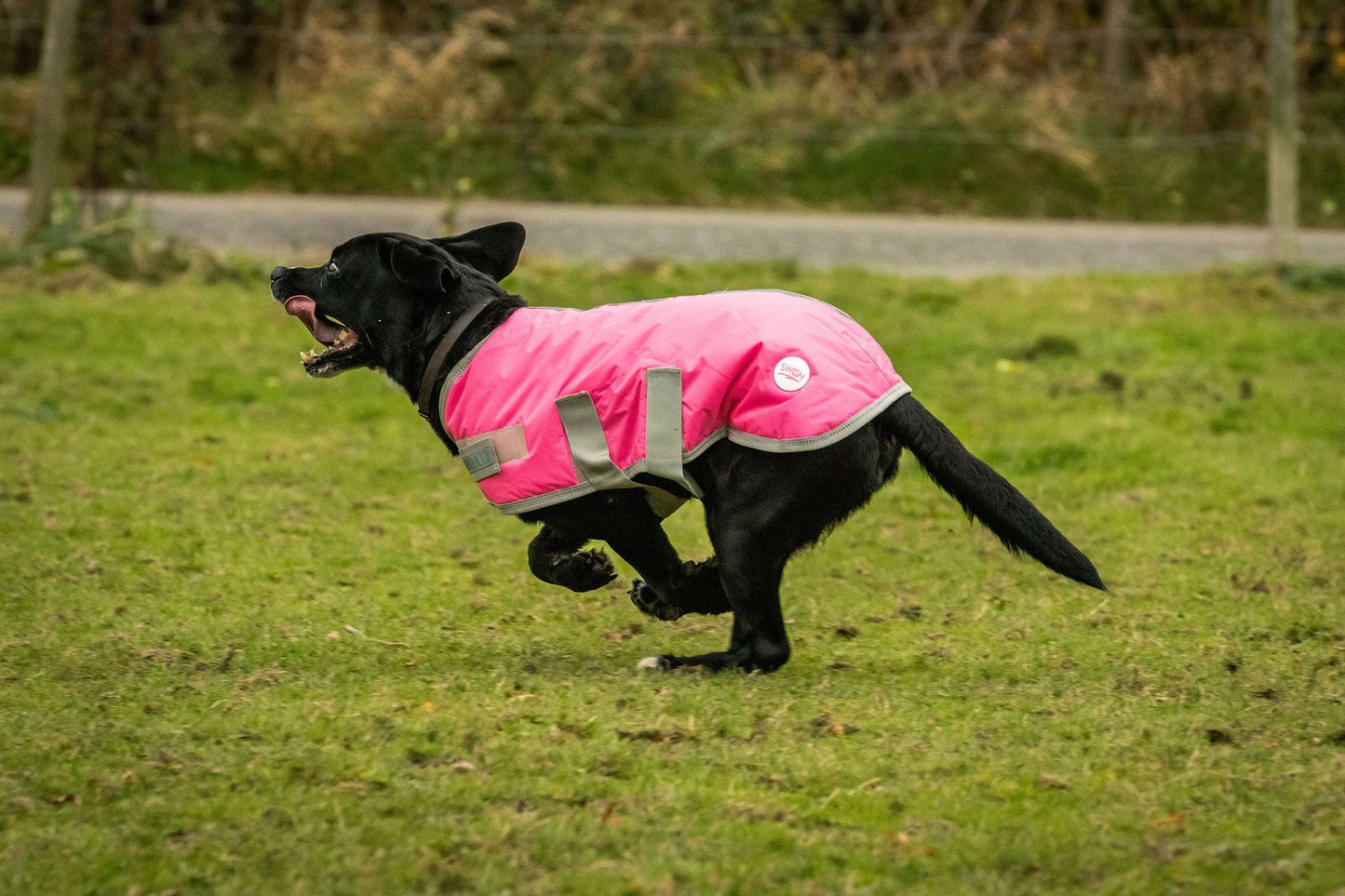 Swish Waterproof Dog Coat - High Viz Pink