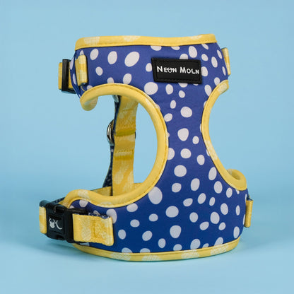 Neon Moon- The Minnie Mesh Harness