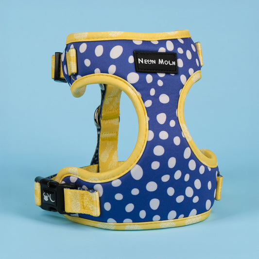 Neon Moon- The Minnie Mesh Harness