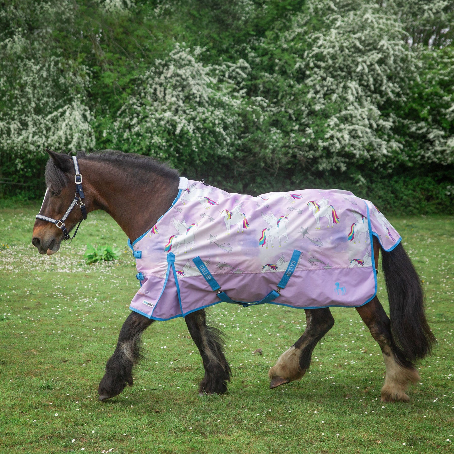 TROJAN LIMITED EDITION  'Pegacorn' Lightweight 0g Duraproof Turnout