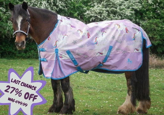 A dark brown horse standing on grass outdoors wearing a lavender-purple turnout blanket with a white unicorn and rainbow print and bright blue trim. A purple sale badge in the lower left reads 'LAST CHANCE 27% OFF WAS £49.