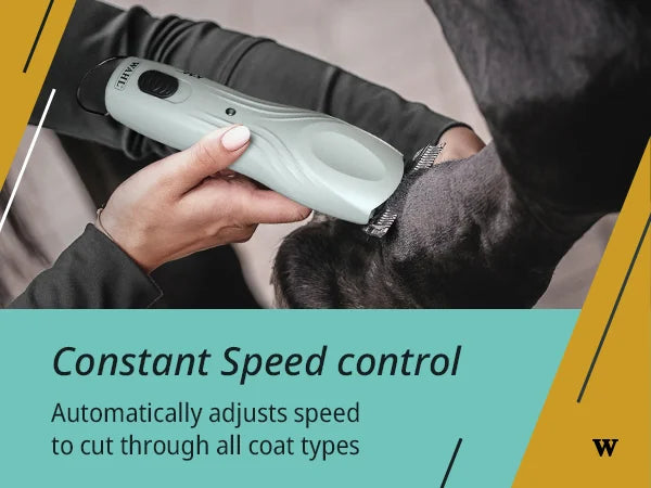 Wahl KMC+ Equine Cordless Clipper Kit