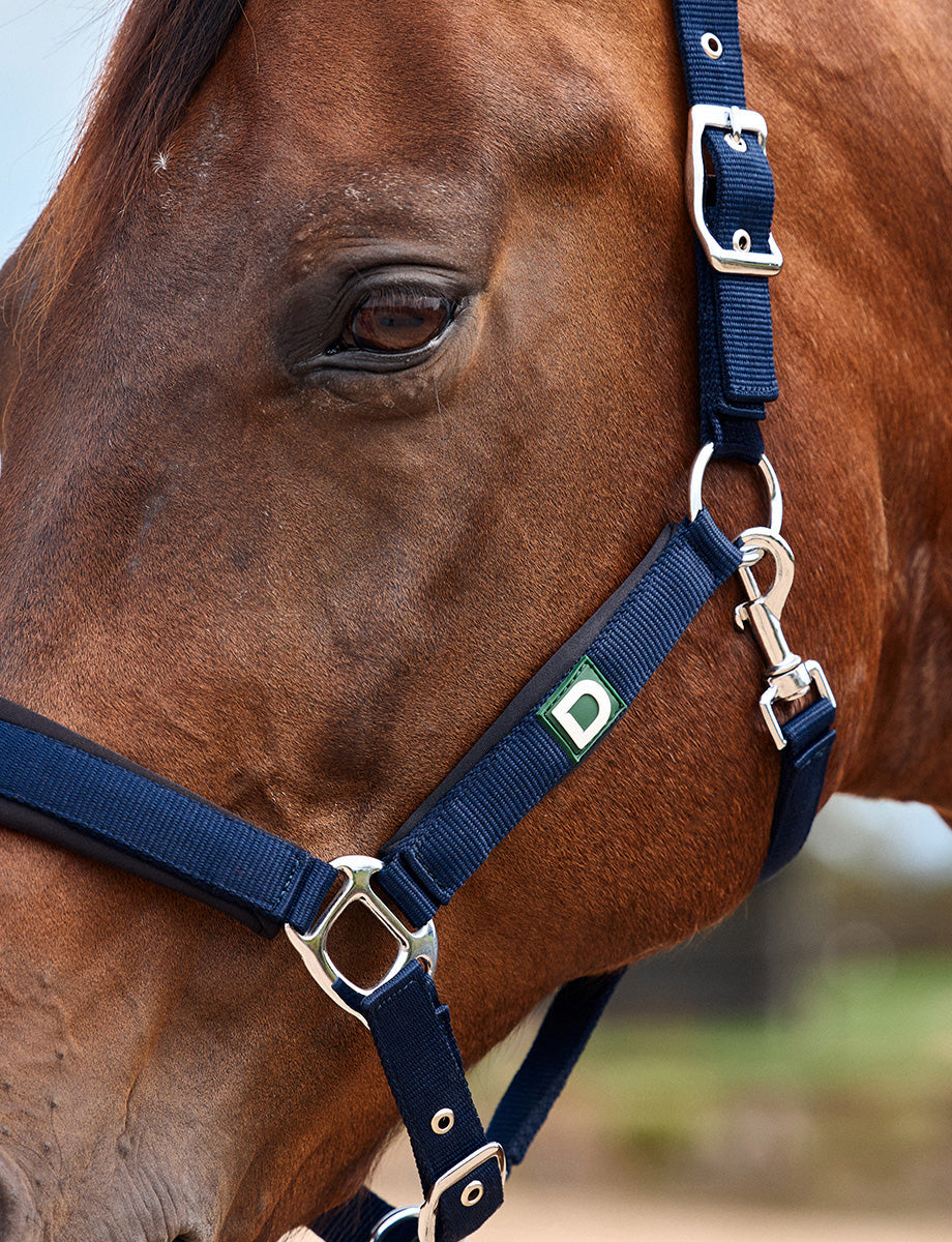 Dublin Neo Comfort Headcollar