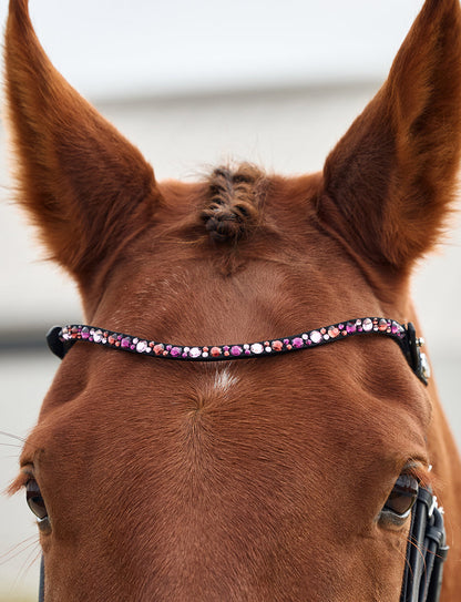 Dublin Ombre Diamante Browband