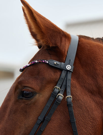 Dublin Ombre Diamante Browband