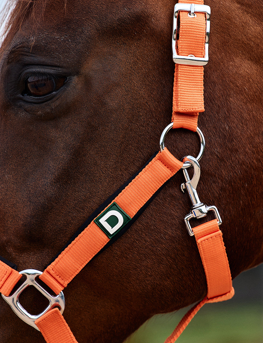 Dublin Neo Comfort Headcollar