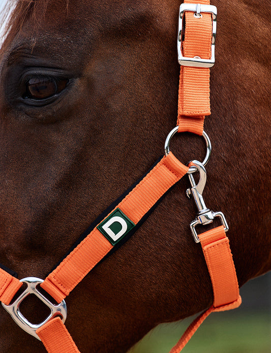 Dublin Neo Comfort Headcollar