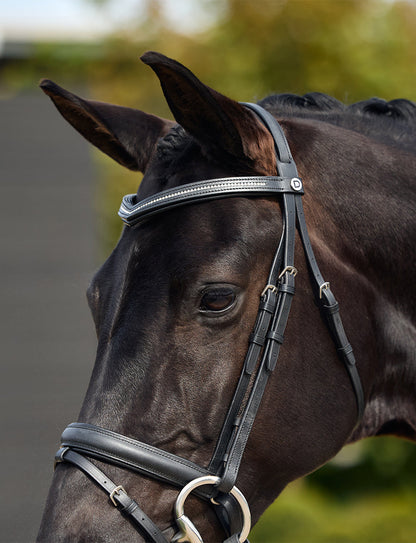 Dublin Padded Comfort Crown Crystal Flash Bridle