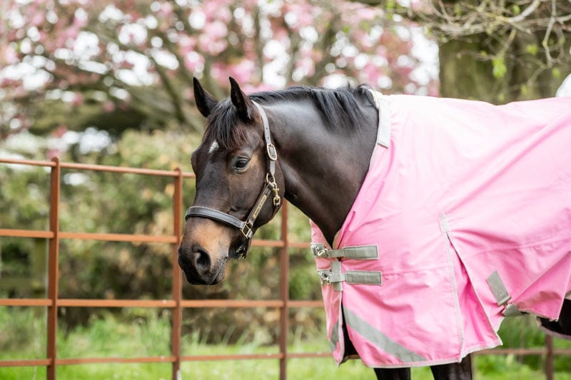 Swish 100g Detachable Neck Turnout Rug - Baby Pink