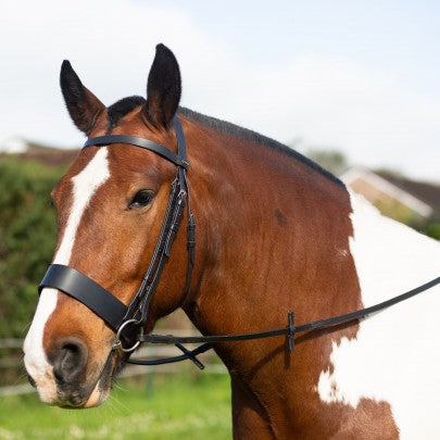 Gallop Hunter Bridle