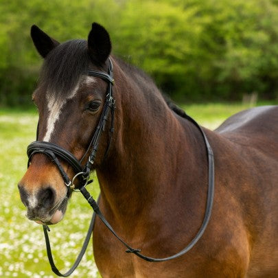 Gallop Black Comfort Bridle with Rubber Reins