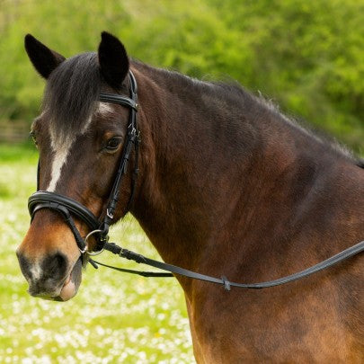 Gallop Black Comfort Bridle with Rubber Reins