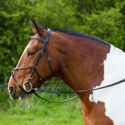 Gallop Grackle Bridle with Rubber Reins