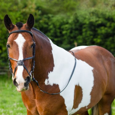 Gallop Grackle Bridle with Rubber Reins