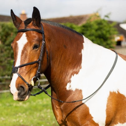 Gallop Grackle Bridle with Rubber Reins