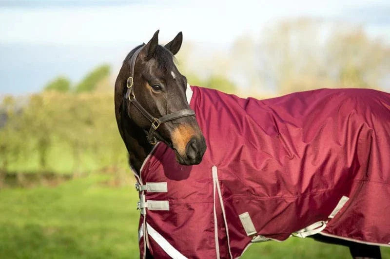 Swish 50g Detachable Neck Turnout Rug - Burgundy