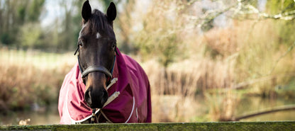 Swish 50g Detachable Neck Turnout Rug - Burgundy