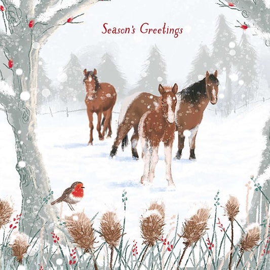 Christmas Cards- Winter Friends 10pk
