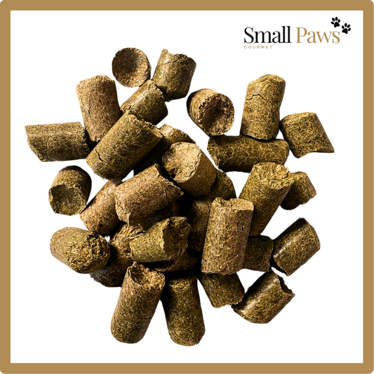 Small Paws Giant Treats