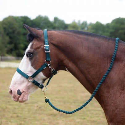 Gallop Premium Padded Heacollar and Leadrope Set- Various Colours