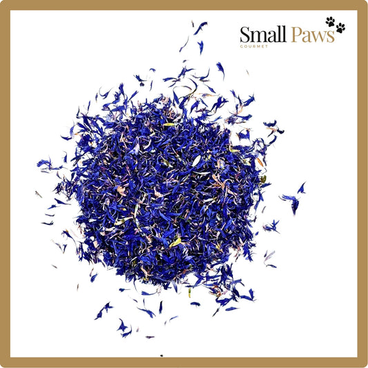 Small Paws Cornflowers