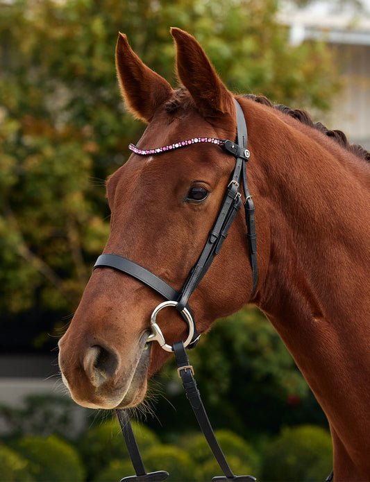 Dublin Ombre Diamante Browband