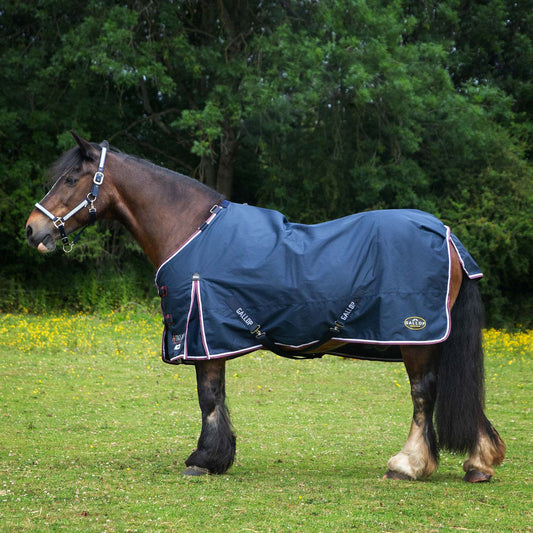GALLOP-TROJAN 600D Duraproof 50g 5-Point Turnout Rug