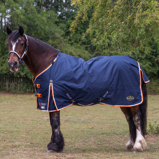 GALLOP TROJAN - 100g 600D Duraproof 5-Point Turnout