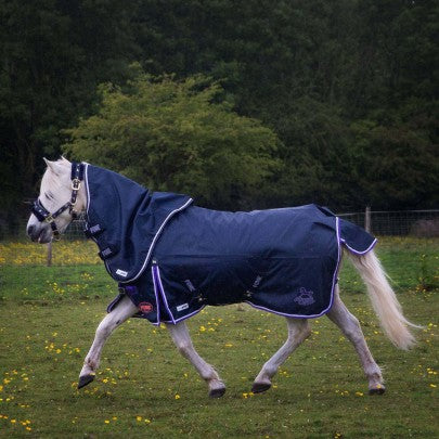 NEW 600D Ponie 0g Duraproof 5 Point Turnout