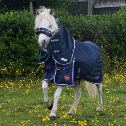 NEW 600D Ponie 0g Duraproof 5 Point Turnout