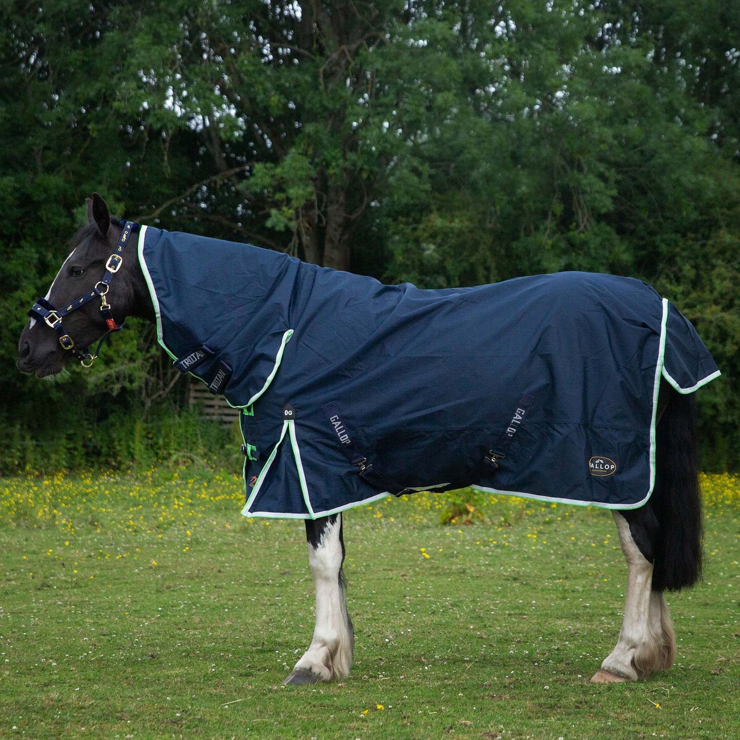 NEW 600D Trojan Duraproof 0g Combo Turnout