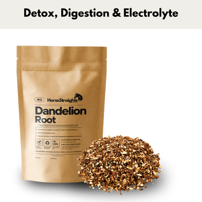 Dandelion Root