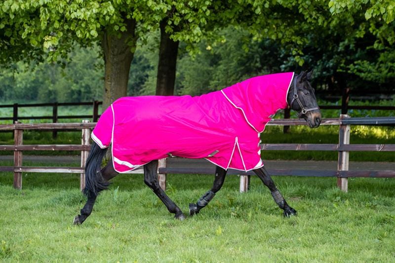 Swish 100g Detachable Neck Turnout Rug - Pink