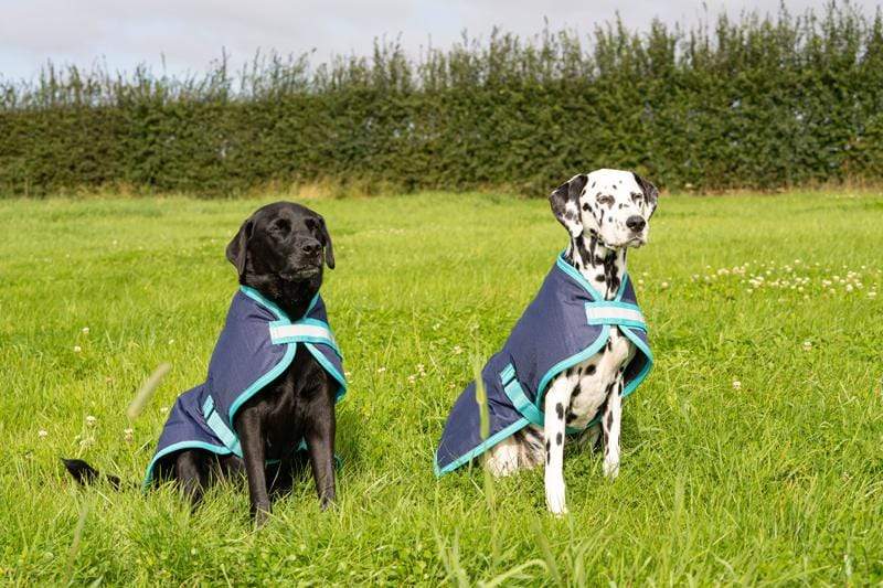 Swish Waterproof Dog Coat - Navy