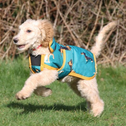 Dog Print Dog Coat